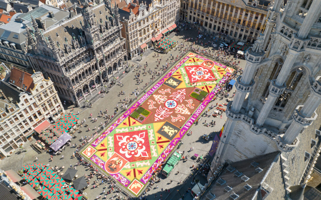 Le tapis de fleurs de Bruxelles 2024 : Le changement dans la continuité !