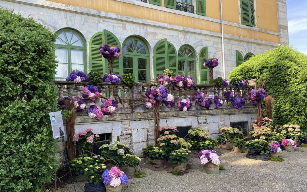 Retour sur Le Printemps Palladien à Syam : un événement enchanteur