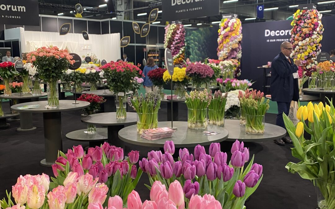 Royal FloraHolland Trade Fair: impressies, inspiratie & een state of the art van de sierteeltsector