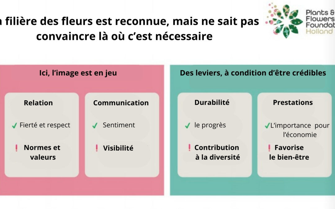 Les consommateurs néerlandais sont majoritairement positifs à l’égard des fleurs et des plantes, mais une communication crédible est indispensable